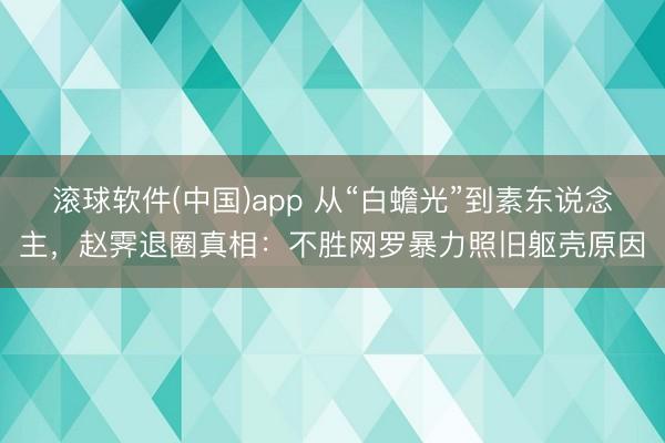 滚球软件(中国)app 从“白蟾光”到素东说念主,赵霁退圈真相:不胜网罗暴力照旧躯壳原因