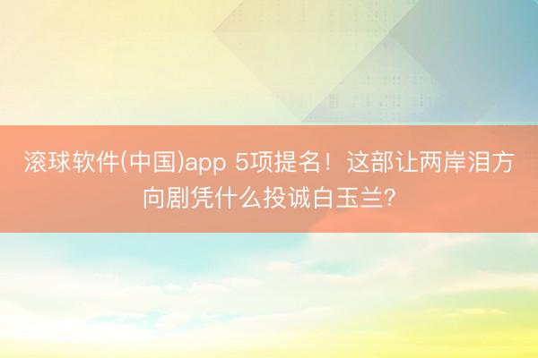 滚球软件(中国)app 5项提名！这部让两岸泪方向剧凭什么投诚白玉兰？