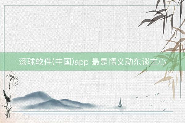 滚球软件(中国)app 最是情义动东谈主心