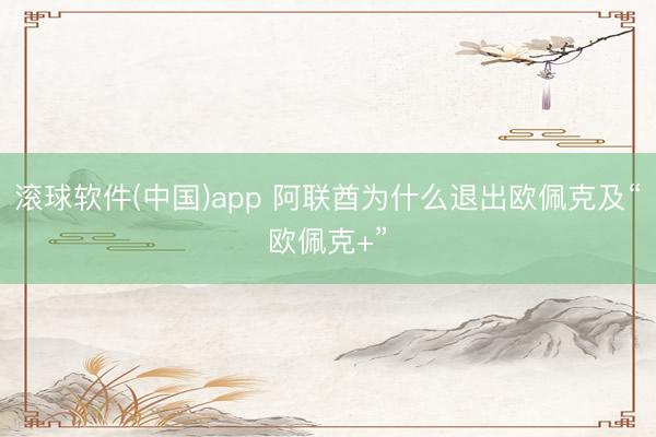 滚球软件(中国)app 阿联酋为什么退出欧佩克及“欧佩克+”