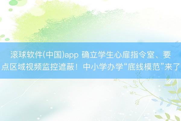 滚球软件(中国)app 确立学生心扉指令室、要点区域视频监控遮蔽！中小学办学“底线模范”来了