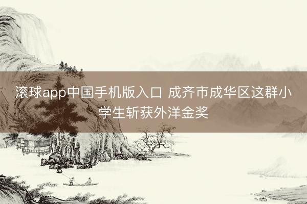 滚球app中国手机版入口 成齐市成华区这群小学生斩获外洋金奖