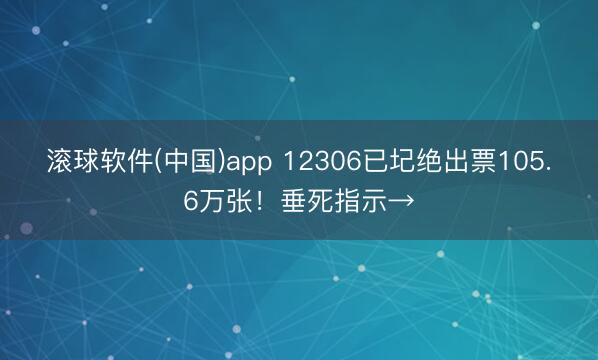 滚球软件(中国)app 12306已圮绝出票105.6万张！垂死指示→