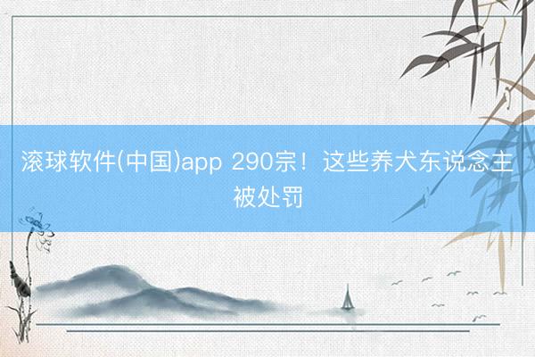 滚球软件(中国)app 290宗！这些养犬东说念主被处罚