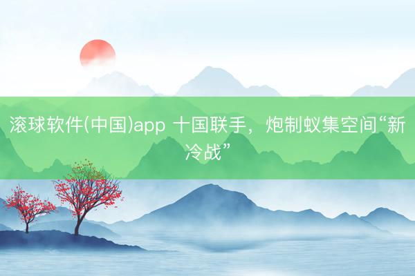 滚球软件(中国)app 十国联手，炮制蚁集空间“新冷战”