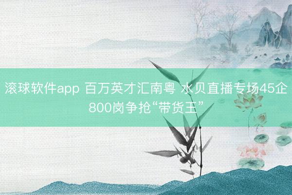 滚球软件app 百万英才汇南粤 水贝直播专场45企800岗争抢“带货王”