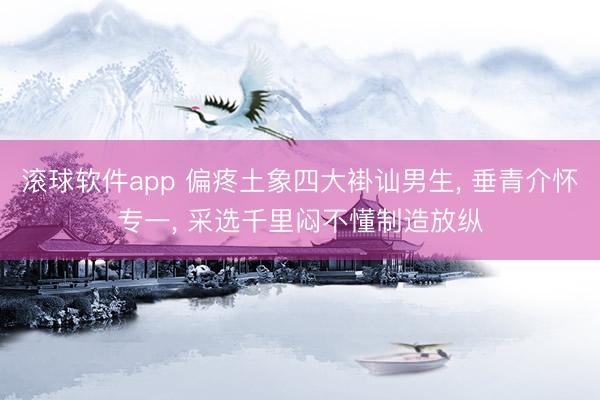 滚球软件app 偏疼土象四大褂讪男生， 垂青介怀专一， 采选千里闷不懂制造放纵