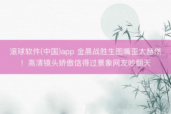 滚球软件(中国)app 金晨战胜生图嘴歪太赫然!高清镜头娇傲信得过景象网友吵翻天